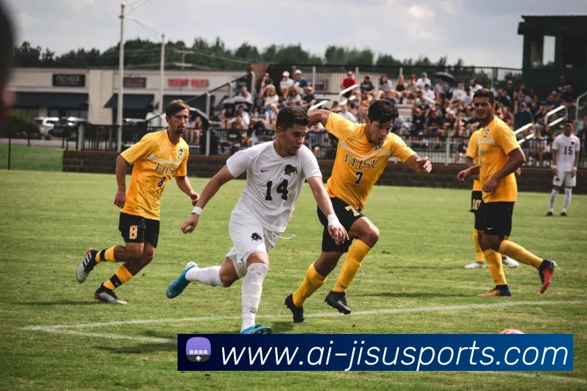 极速体育平台生态图